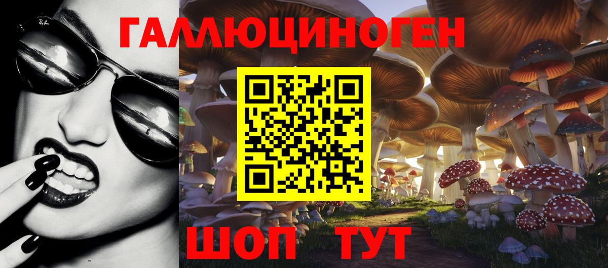 Псилоцибиновые грибы мицелий Артём